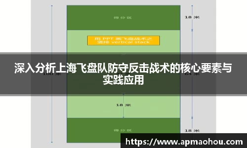 深入分析上海飞盘队防守反击战术的核心要素与实践应用