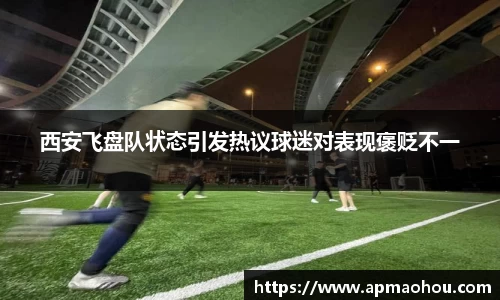 西安飞盘队状态引发热议球迷对表现褒贬不一