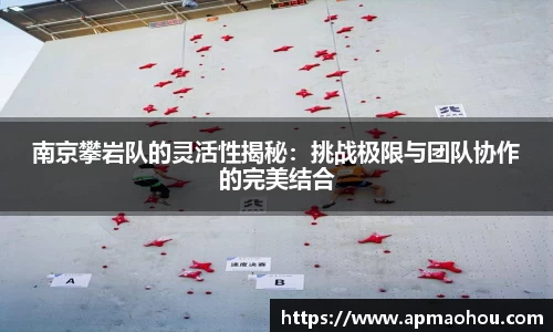 南京攀岩队的灵活性揭秘：挑战极限与团队协作的完美结合