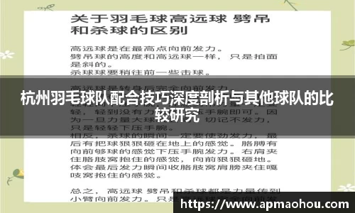 杭州羽毛球队配合技巧深度剖析与其他球队的比较研究