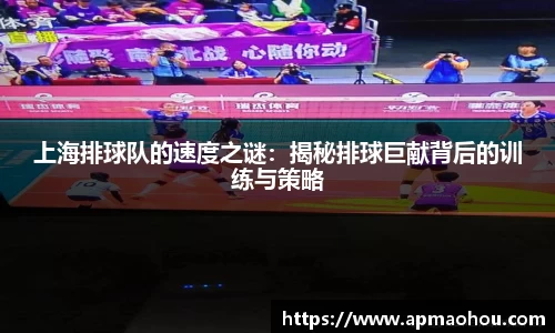 上海排球队的速度之谜：揭秘排球巨献背后的训练与策略
