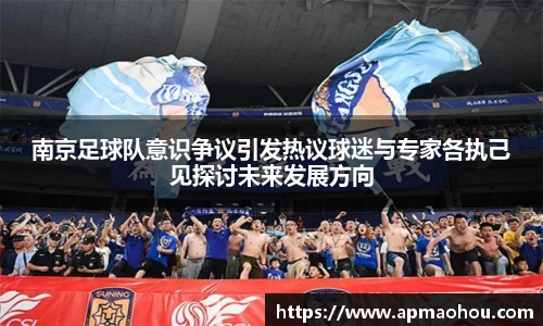 南京足球队意识争议引发热议球迷与专家各执己见探讨未来发展方向