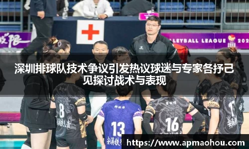 深圳排球队技术争议引发热议球迷与专家各抒己见探讨战术与表现