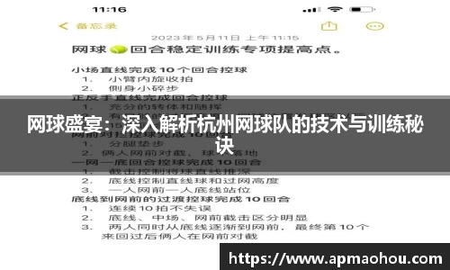网球盛宴：深入解析杭州网球队的技术与训练秘诀