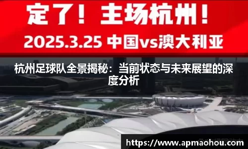 杭州足球队全景揭秘：当前状态与未来展望的深度分析