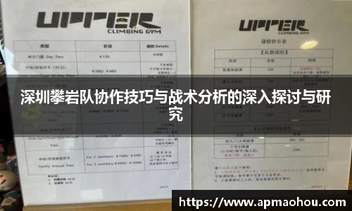 深圳攀岩队协作技巧与战术分析的深入探讨与研究