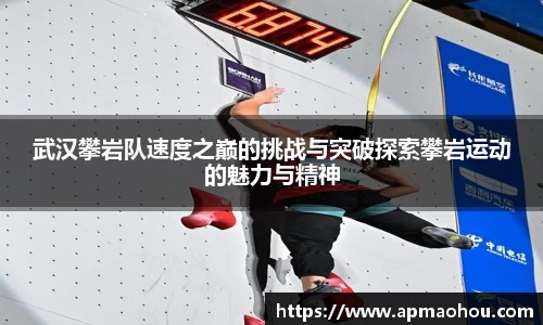 武汉攀岩队速度之巅的挑战与突破探索攀岩运动的魅力与精神